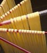 Fettuccine su stendipasta Tacapasta rosso