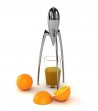 spremiagrumi Juicy Salif design Philippe Starck