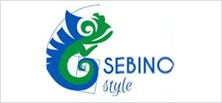 SEBINO ARTE